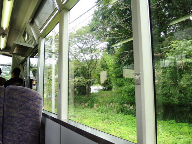 f0100593_20244988.jpg