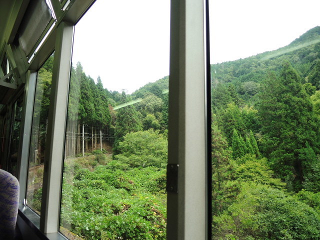 f0100593_20250801.jpg