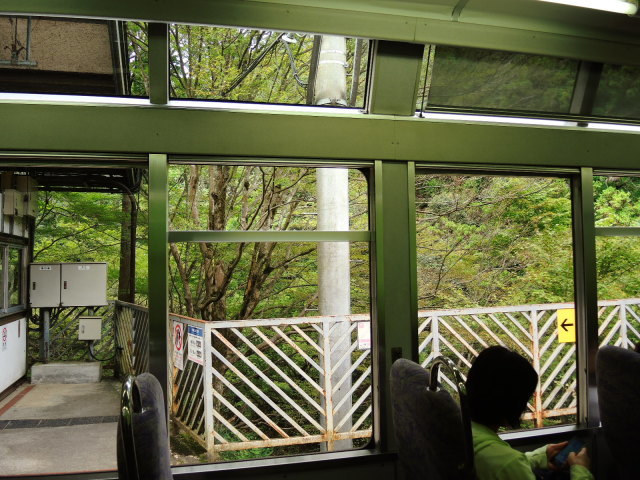 f0100593_20251271.jpg