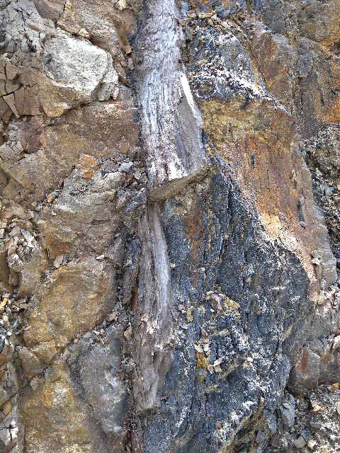 a0199297_21501552.jpg