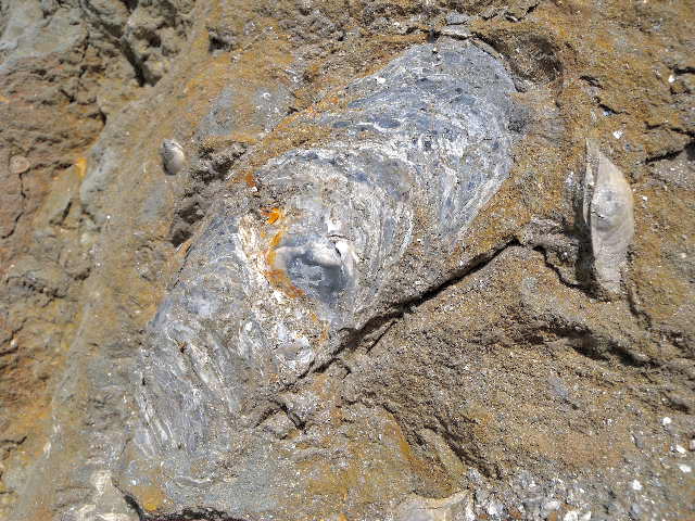 a0199297_2150244.jpg