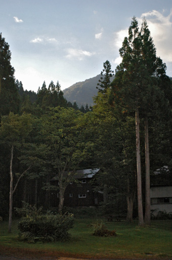 a0061599_7571663.jpg