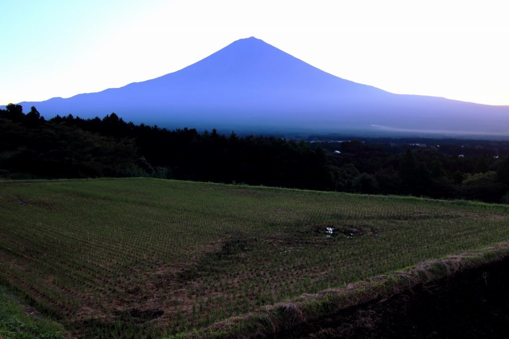 a0188405_00430167.jpg