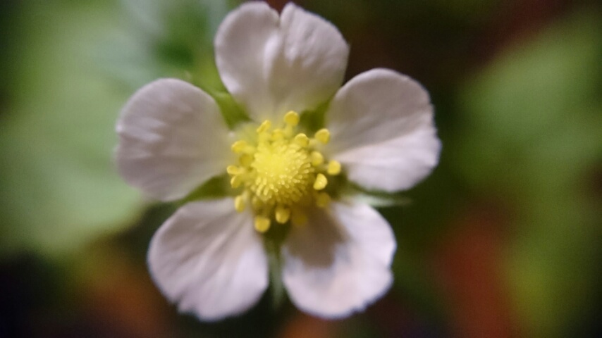 d0149105_20534043.jpg