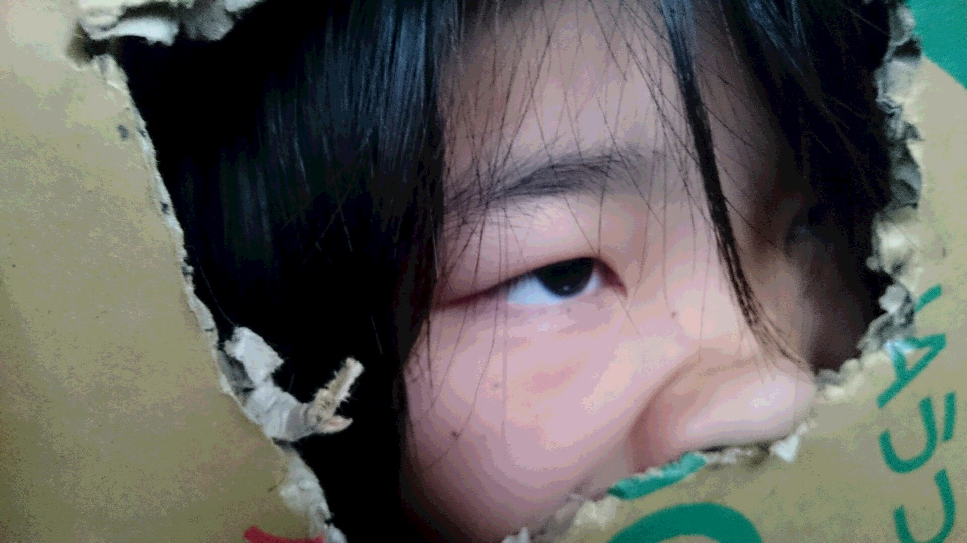 d0149105_7382521.jpg