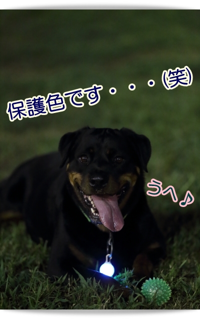e0100007_2264761.jpg