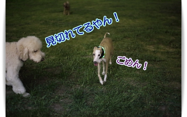 e0100007_2265544.jpg