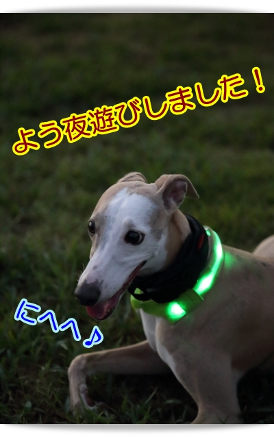 e0100007_227697.jpg