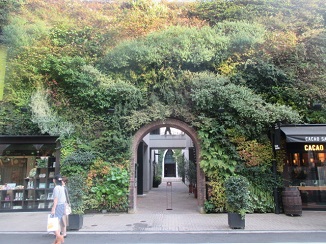 d0091909_1026217.jpg
