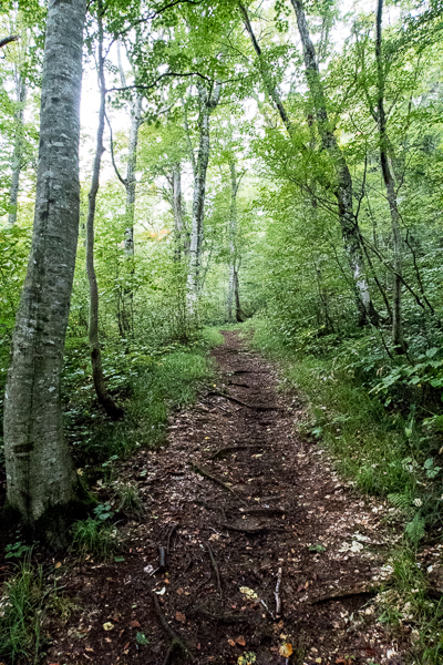 b0244811_23111340.jpg