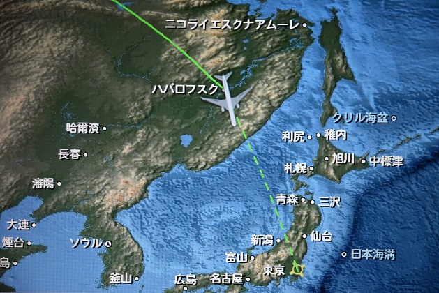 a0151913_13131914.jpg