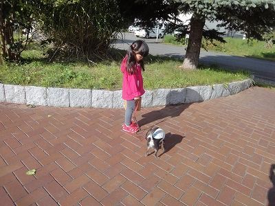 f0328313_12202863.jpg