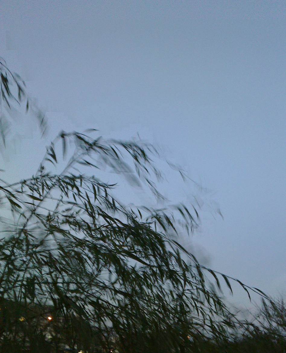 c0097620_18353934.jpg