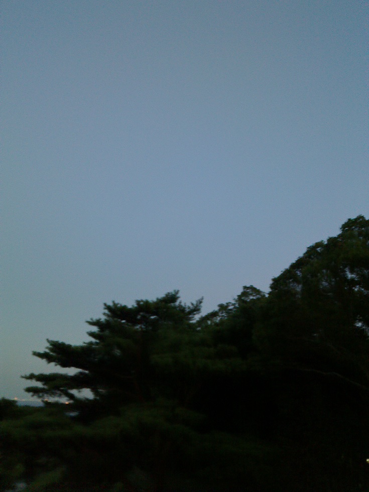 c0097620_18355384.jpg