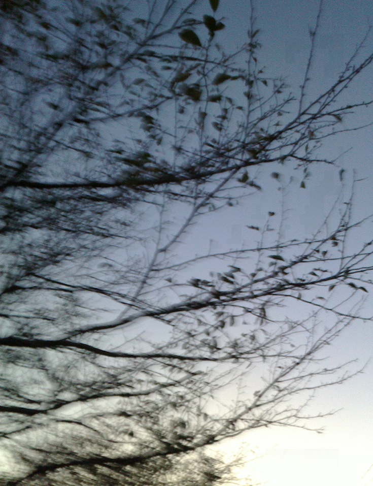 c0097620_1836860.jpg