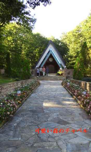 e0047322_2151414.jpg