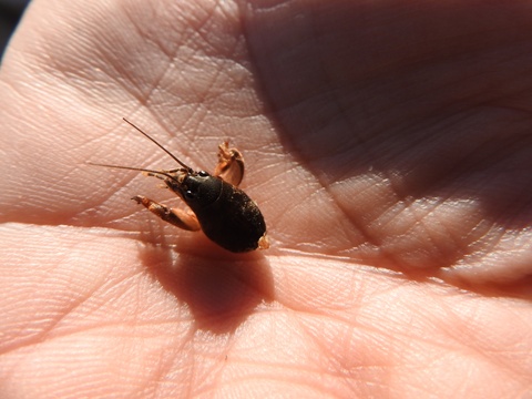 f0118332_2326818.jpg