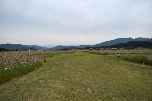 a0228333_19100715.jpg