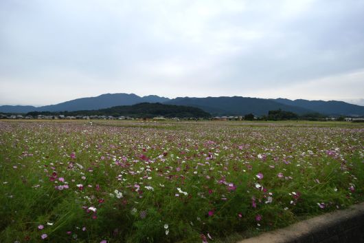 a0228333_19101439.jpg