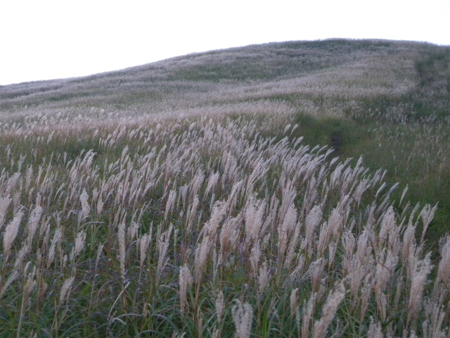e0272335_50759.jpg