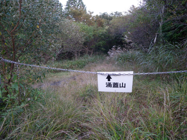 e0272335_514874.jpg