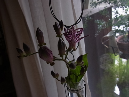 e0242839_11161990.jpg