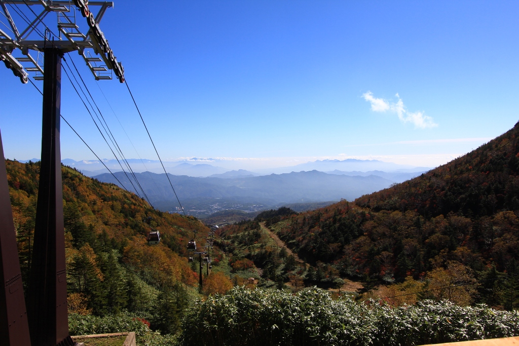 d0132743_13375518.jpg