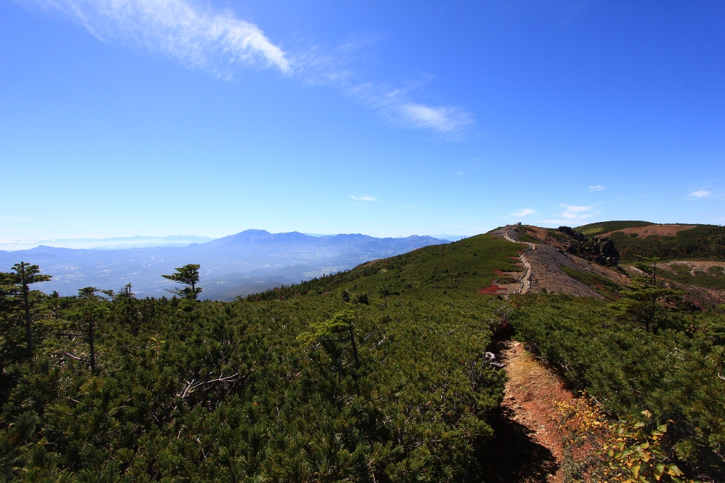 d0132743_13415614.jpg