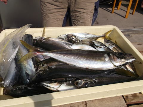 e0007544_7441997.jpg