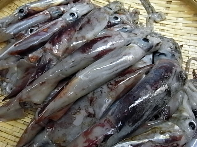 e0007544_756128.jpg