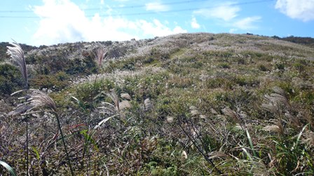 b0148050_1415391.jpg