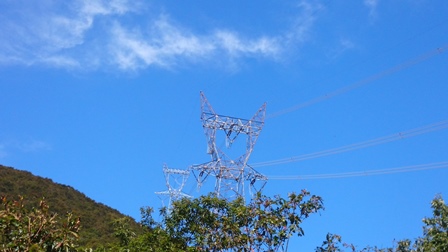 b0148050_1415419.jpg
