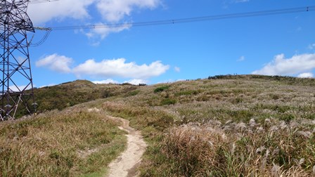 b0148050_14243246.jpg