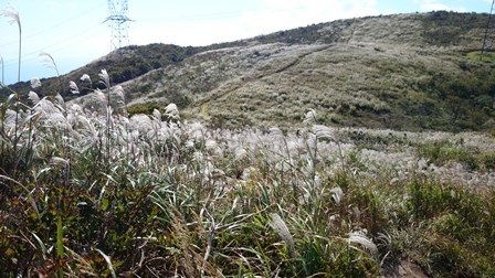 b0148050_14255934.jpg