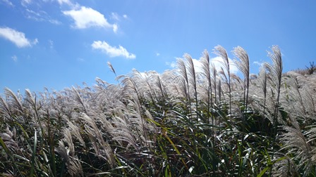 b0148050_1427080.jpg