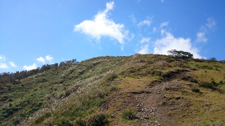 b0148050_14274295.jpg