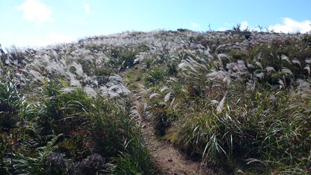 b0148050_1427724.jpg