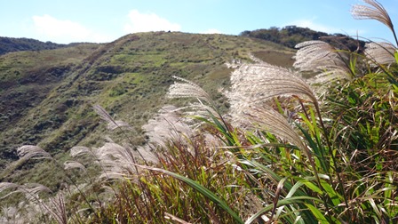 b0148050_14283117.jpg
