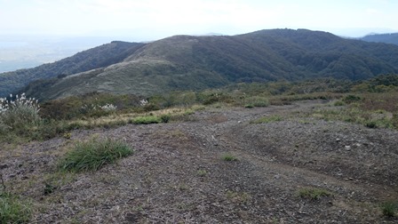 b0148050_14292121.jpg