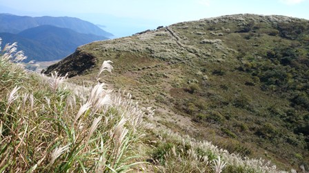 b0148050_14292815.jpg