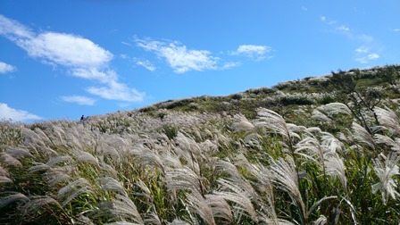 b0148050_14293750.jpg