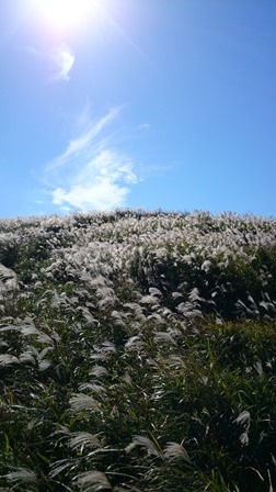 b0148050_14294329.jpg