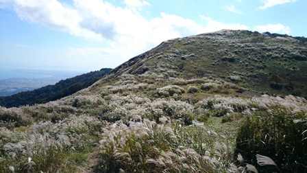 b0148050_14295840.jpg