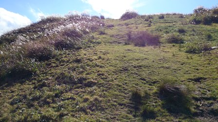 b0148050_14302581.jpg