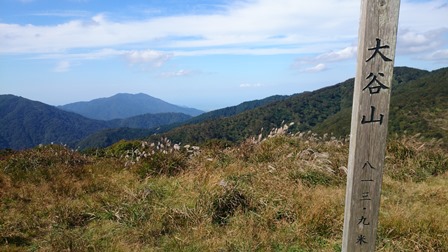 b0148050_14304283.jpg