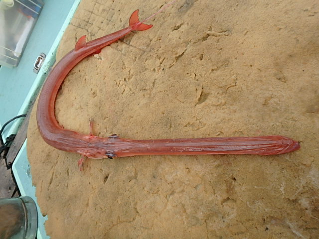a0248152_1804286.jpg