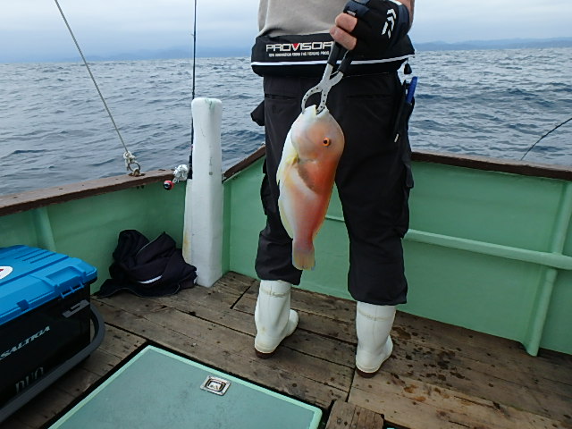 a0248152_1844876.jpg