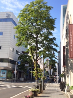 a0181459_1672740.jpg