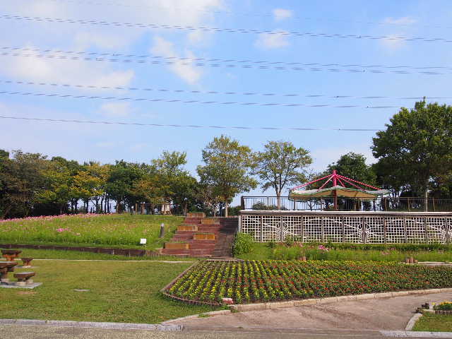 f0043559_919276.jpg
