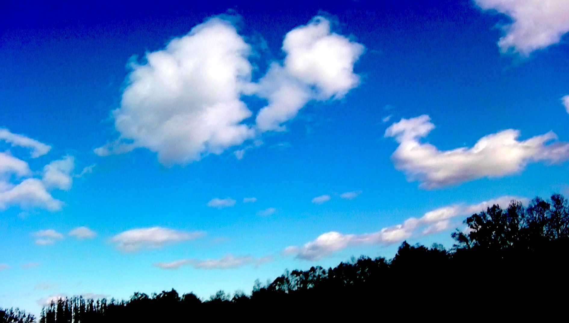f0163561_7521664.jpg